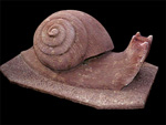 Schnecke aus Sandstein